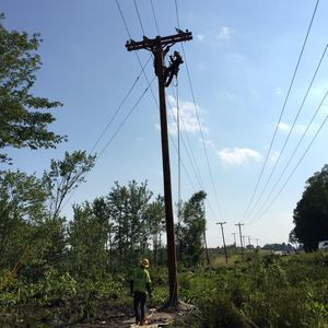 Meet your Posher, Dusty